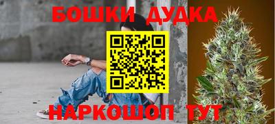 шишки Краснокаменск