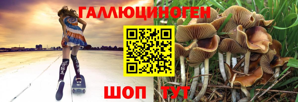 Галлюциногенные грибы ЛСД Армавир